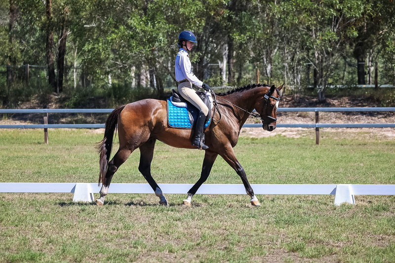 JPC Feb 2026 Dressage-7006.jpg