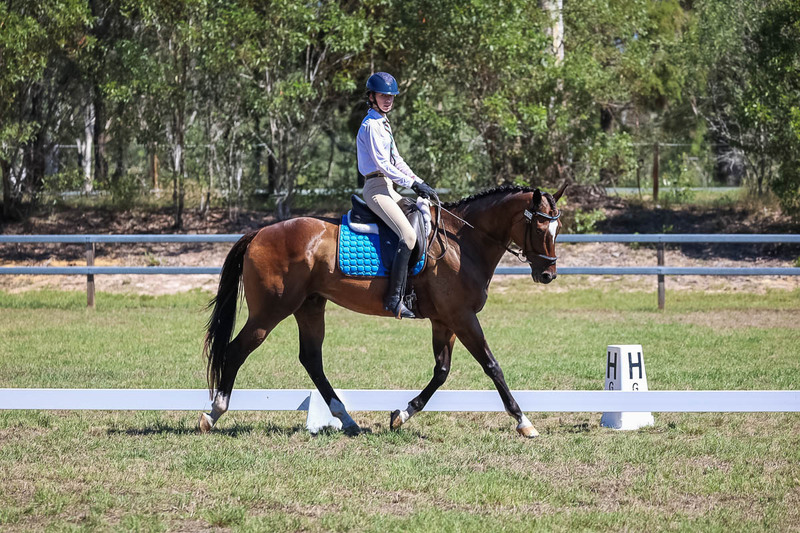 JPC Feb 2026 Dressage-7007.jpg