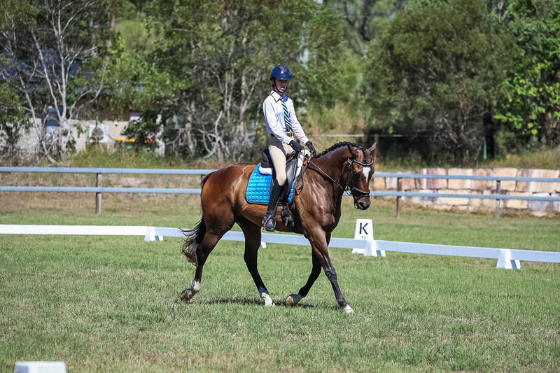 JPC Feb 2026 Dressage-7008.jpg