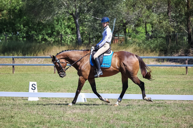 JPC Feb 2026 Dressage-7009.jpg