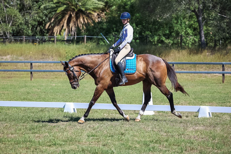 JPC Feb 2026 Dressage-7010.jpg