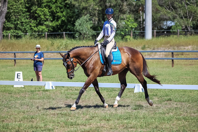 JPC Feb 2026 Dressage-7011.jpg