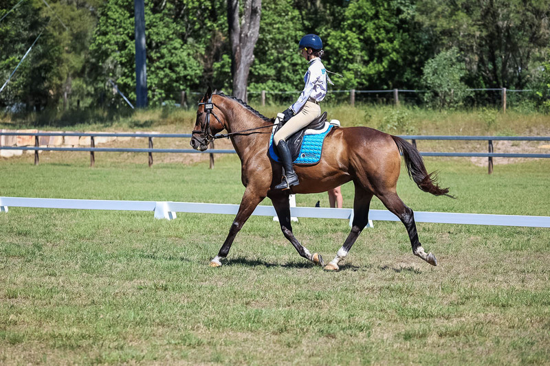 JPC Feb 2026 Dressage-7012.jpg