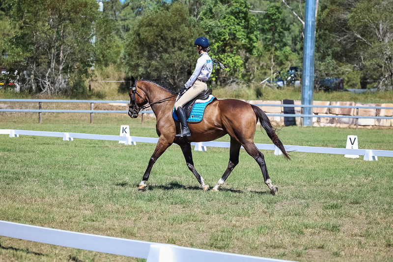 JPC Feb 2026 Dressage-7013.jpg