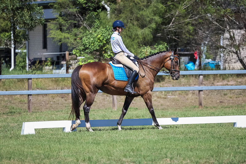 JPC Feb 2026 Dressage-7014.jpg