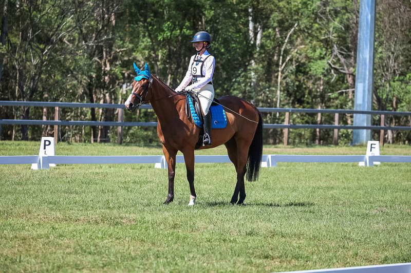 JPC Feb 2026 Dressage-7015.jpg