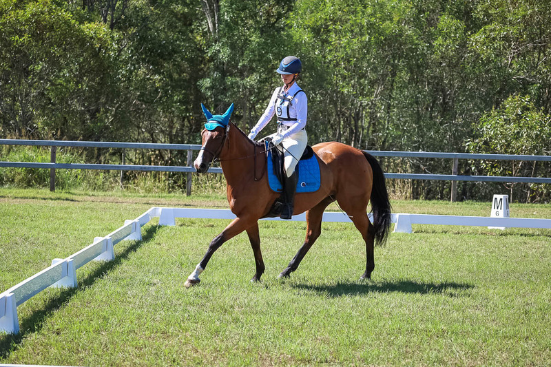 JPC Feb 2026 Dressage-7016.jpg