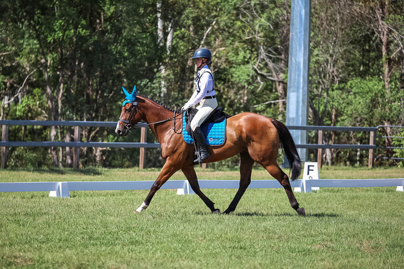 JPC Feb 2026 Dressage-7017.jpg