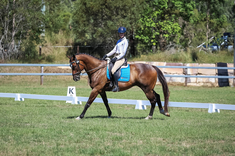 JPC Feb 2026 Dressage-7019.jpg