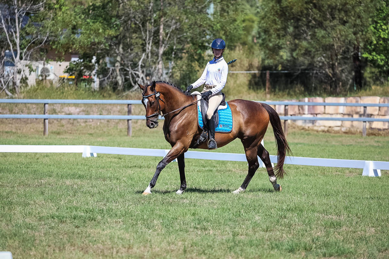 JPC Feb 2026 Dressage-7020.jpg
