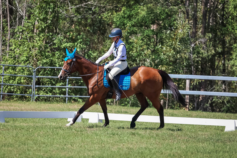 JPC Feb 2026 Dressage-7021.jpg