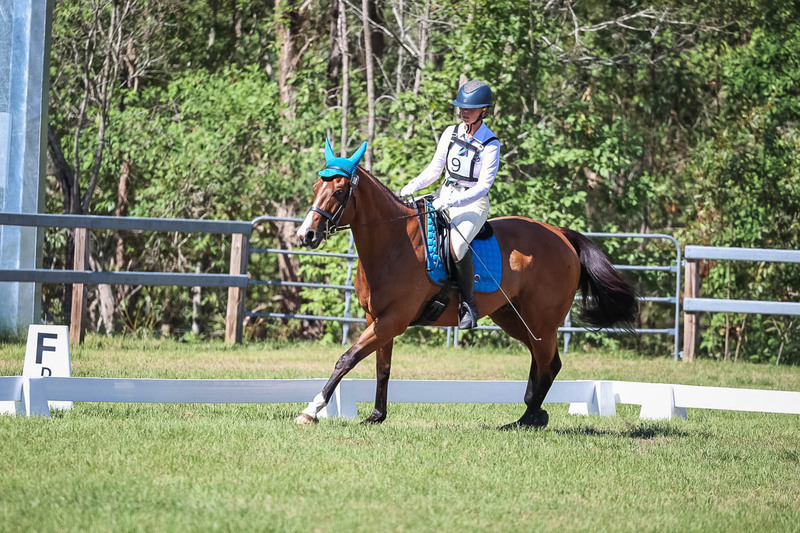 JPC Feb 2026 Dressage-7022.jpg