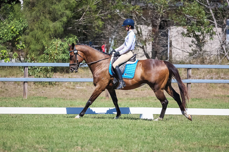 JPC Feb 2026 Dressage-7023.jpg