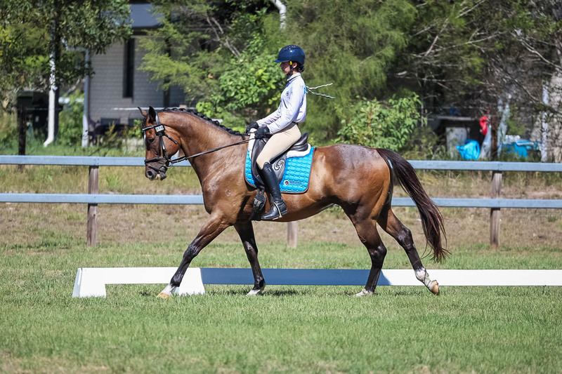 JPC Feb 2026 Dressage-7024.jpg
