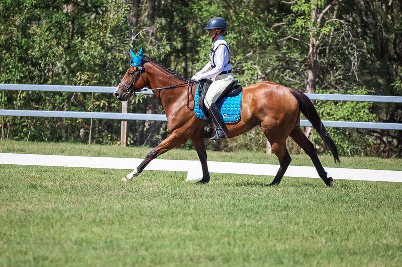 JPC Feb 2026 Dressage-7025.jpg