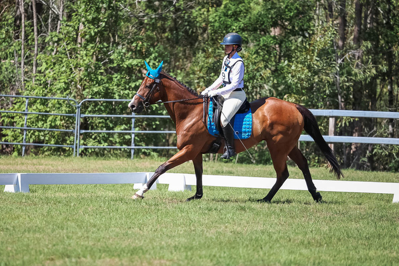 JPC Feb 2026 Dressage-7026.jpg