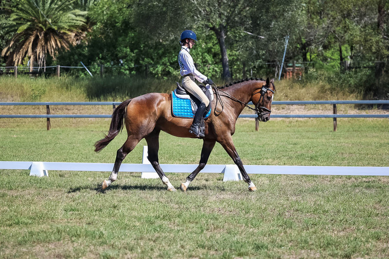 JPC Feb 2026 Dressage-7027.jpg