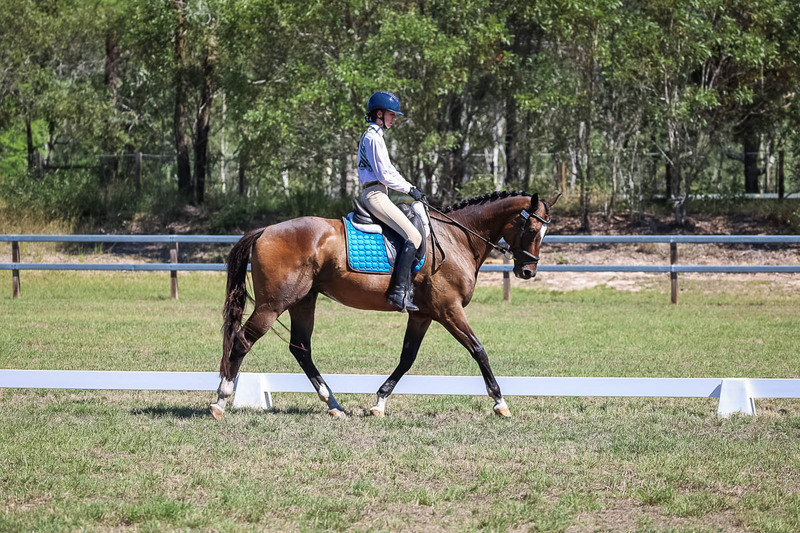 JPC Feb 2026 Dressage-7029.jpg