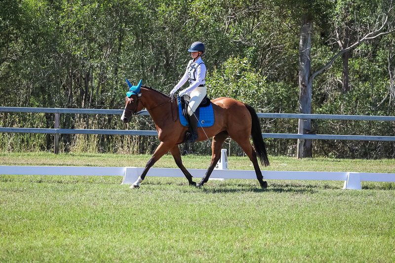 JPC Feb 2026 Dressage-7030.jpg