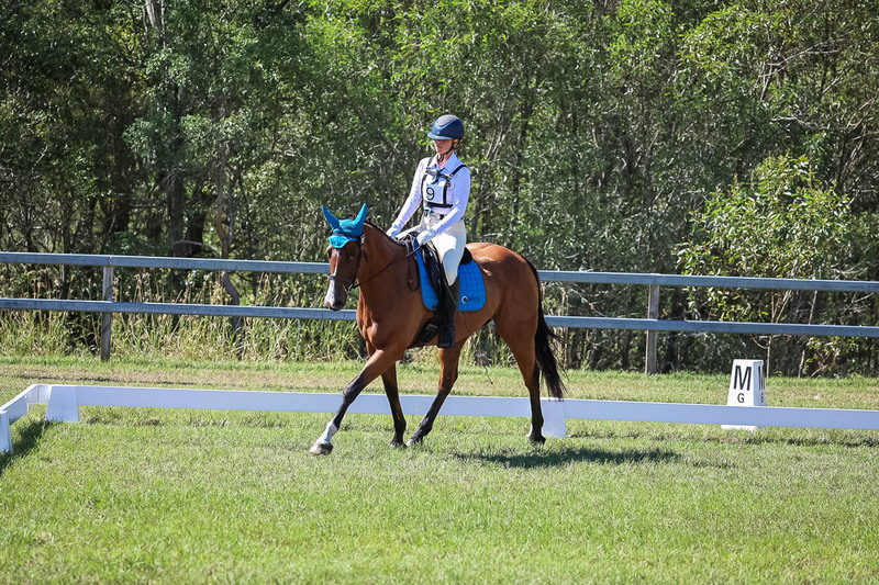 JPC Feb 2026 Dressage-7031.jpg
