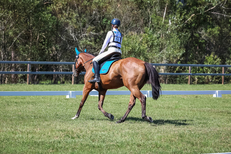 JPC Feb 2026 Dressage-7035.jpg