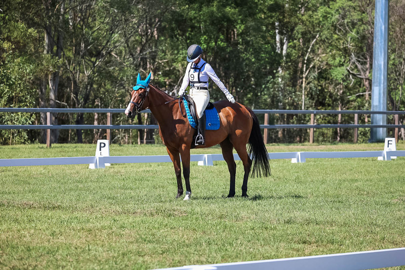 JPC Feb 2026 Dressage-7038.jpg