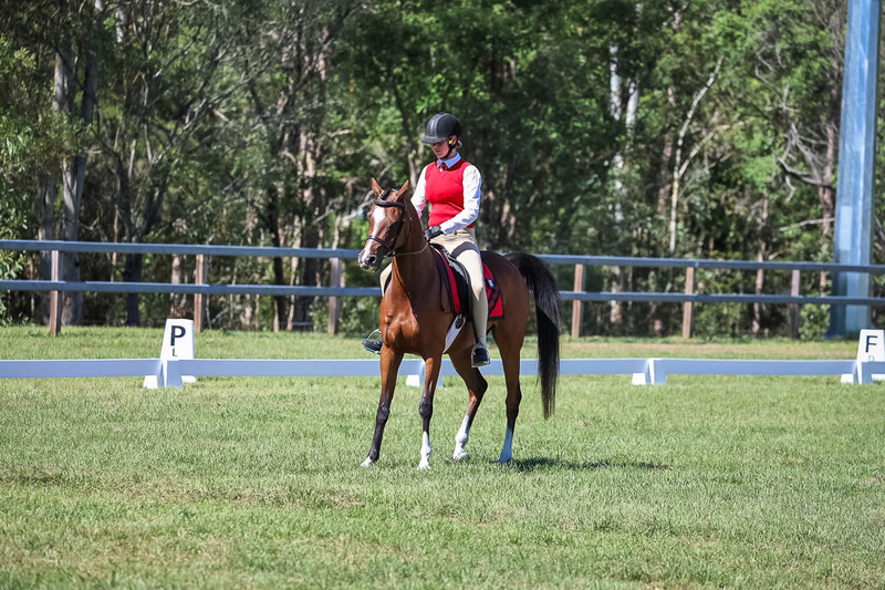 JPC Feb 2026 Dressage-7039.jpg