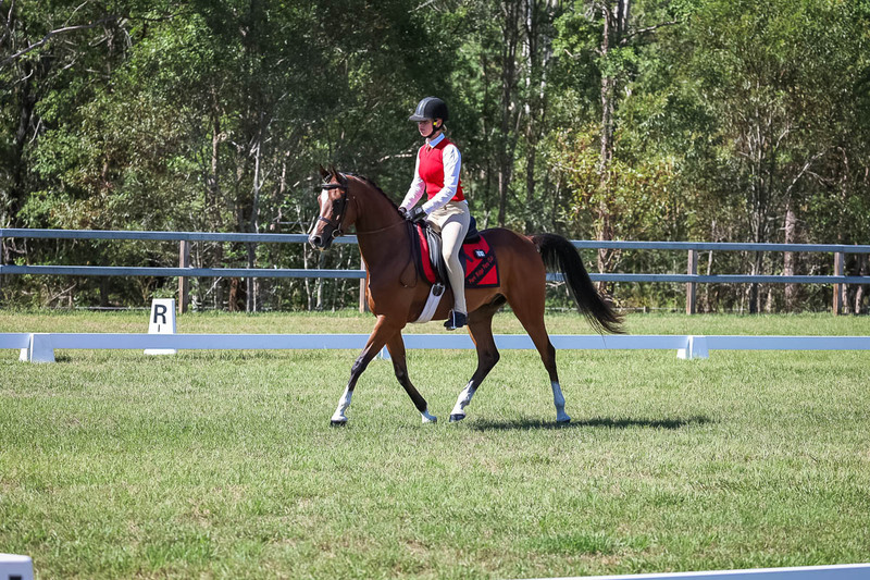 JPC Feb 2026 Dressage-7040.jpg