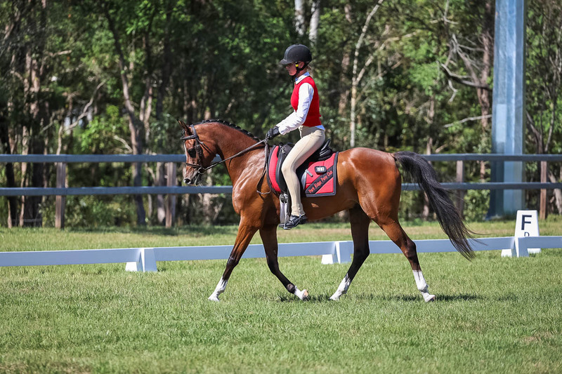 JPC Feb 2026 Dressage-7044.jpg