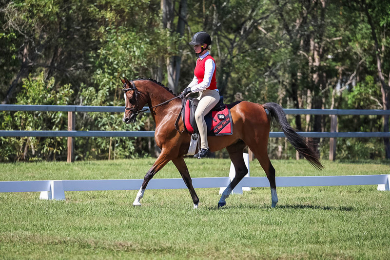JPC Feb 2026 Dressage-7045.jpg