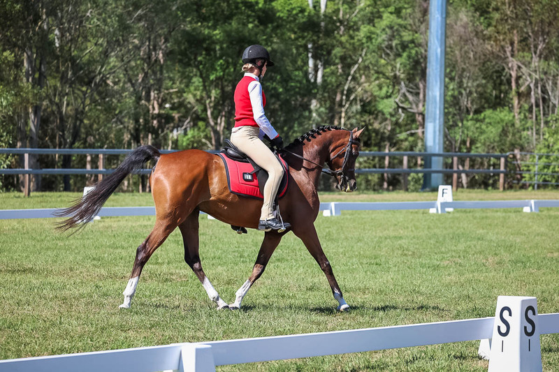 JPC Feb 2026 Dressage-7046.jpg