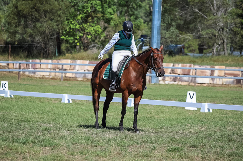 JPC Feb 2026 Dressage-7047.jpg