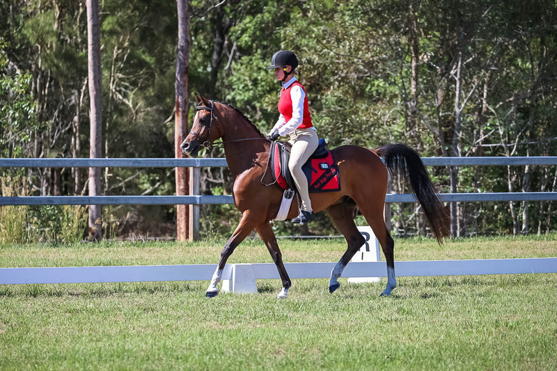 JPC Feb 2026 Dressage-7050.jpg