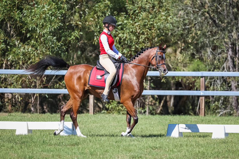 JPC Feb 2026 Dressage-7053.jpg