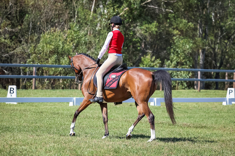 JPC Feb 2026 Dressage-7055.jpg