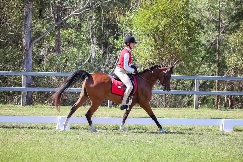 JPC Feb 2026 Dressage-7056.jpg