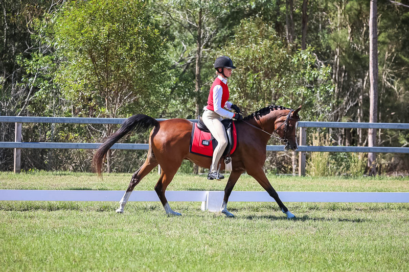 JPC Feb 2026 Dressage-7057.jpg
