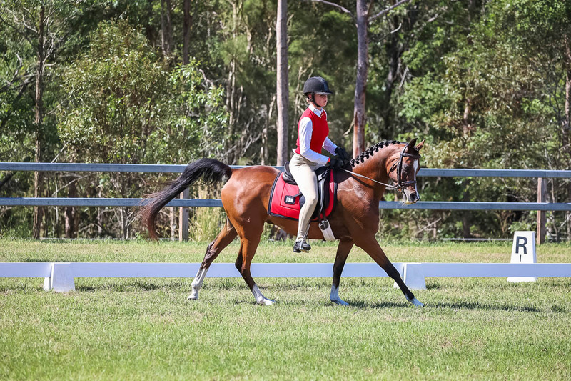 JPC Feb 2026 Dressage-7058.jpg