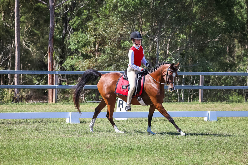 JPC Feb 2026 Dressage-7059.jpg