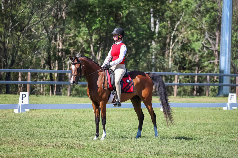 JPC Feb 2026 Dressage-7060.jpg