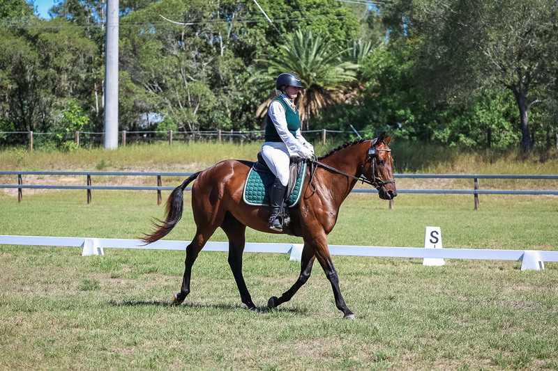 JPC Feb 2026 Dressage-7062.jpg