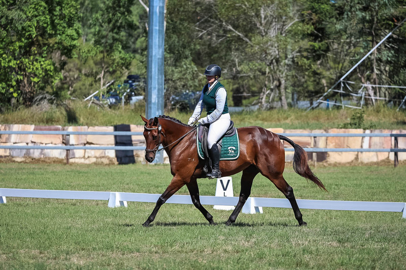 JPC Feb 2026 Dressage-7064.jpg