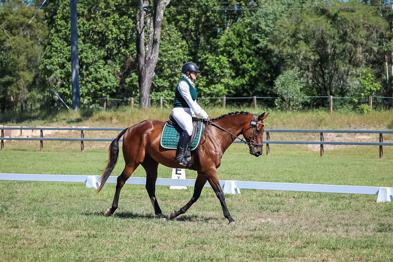 JPC Feb 2026 Dressage-7065.jpg