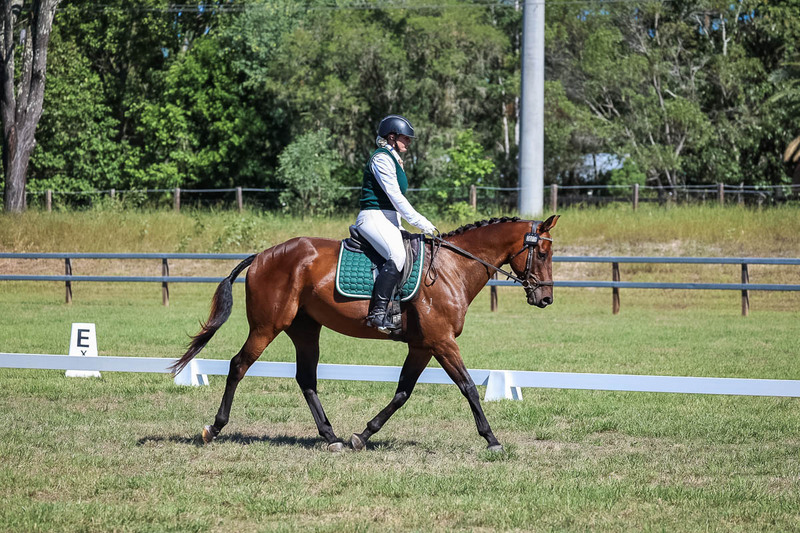 JPC Feb 2026 Dressage-7066.jpg