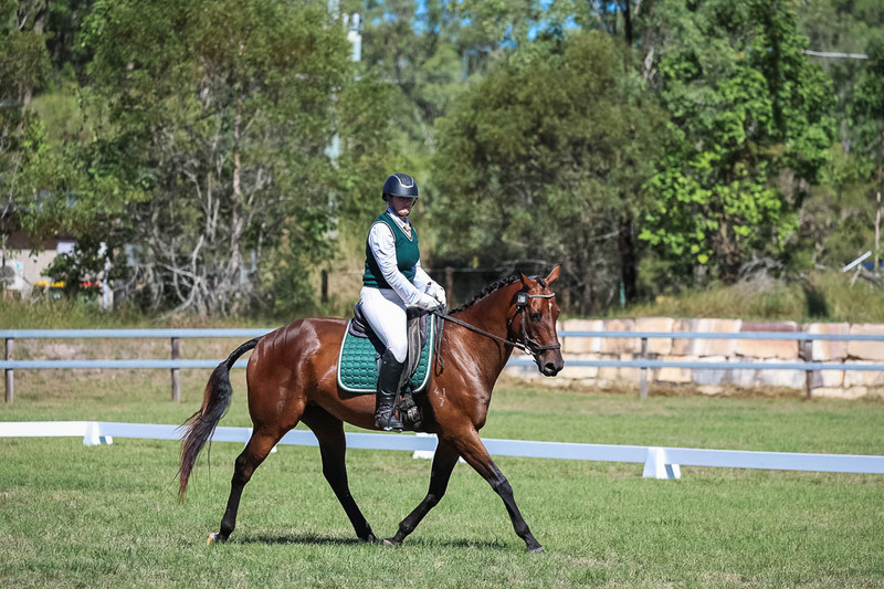 JPC Feb 2026 Dressage-7067.jpg