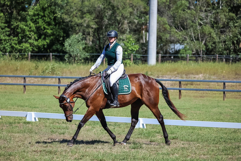 JPC Feb 2026 Dressage-7069.jpg