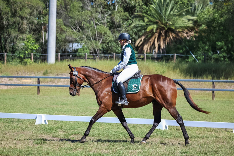 JPC Feb 2026 Dressage-7070.jpg
