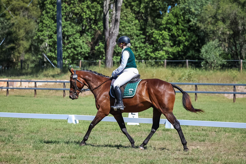 JPC Feb 2026 Dressage-7071.jpg