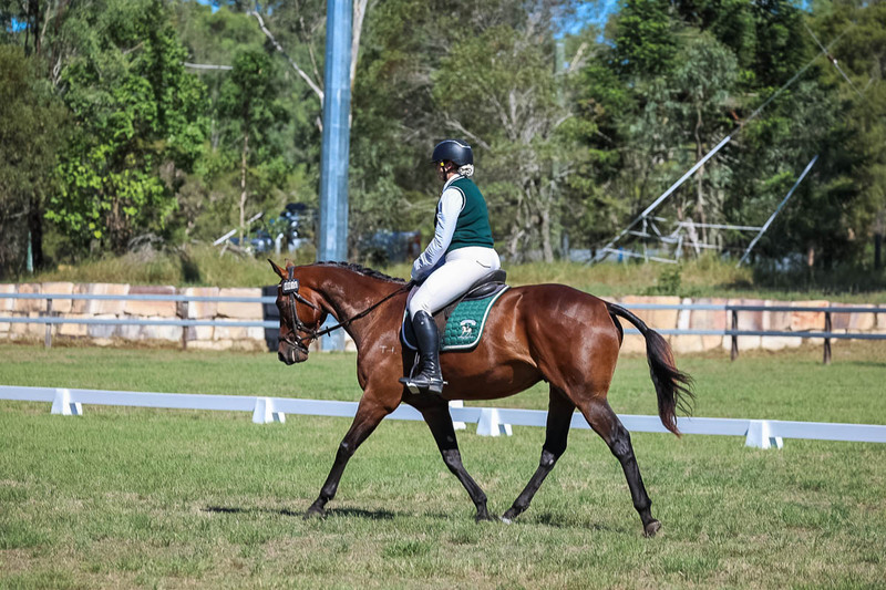JPC Feb 2026 Dressage-7072.jpg