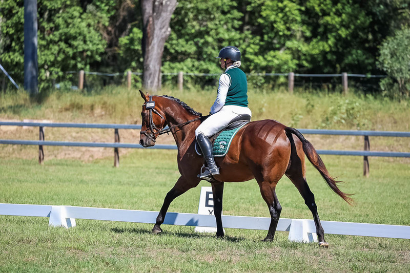 JPC Feb 2026 Dressage-7073.jpg
